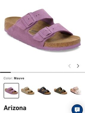 Arizona Mens Two-Strap Suede Slide Sandal - Mauve